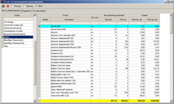Звіт з внутрішнього переміщення